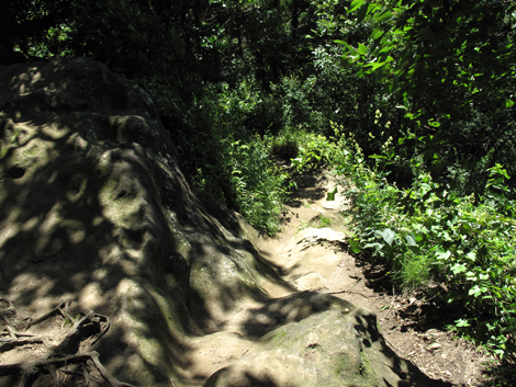 20150715hike (54)